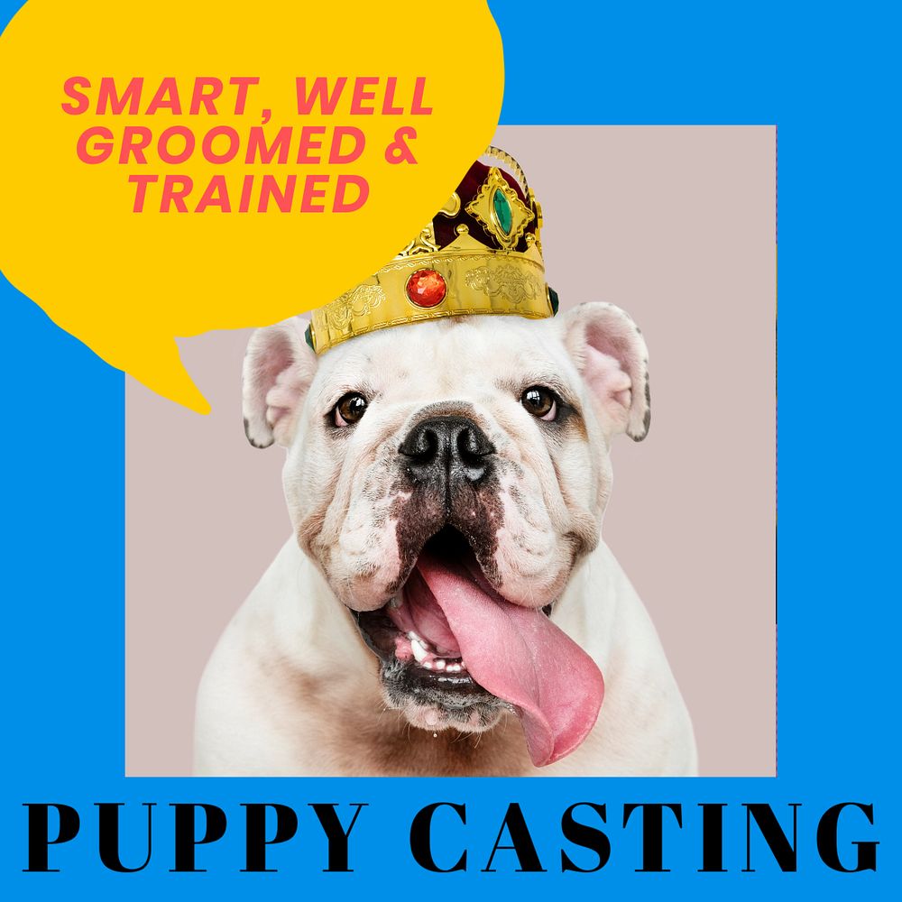 Puppy casting Instagram post template, editable text