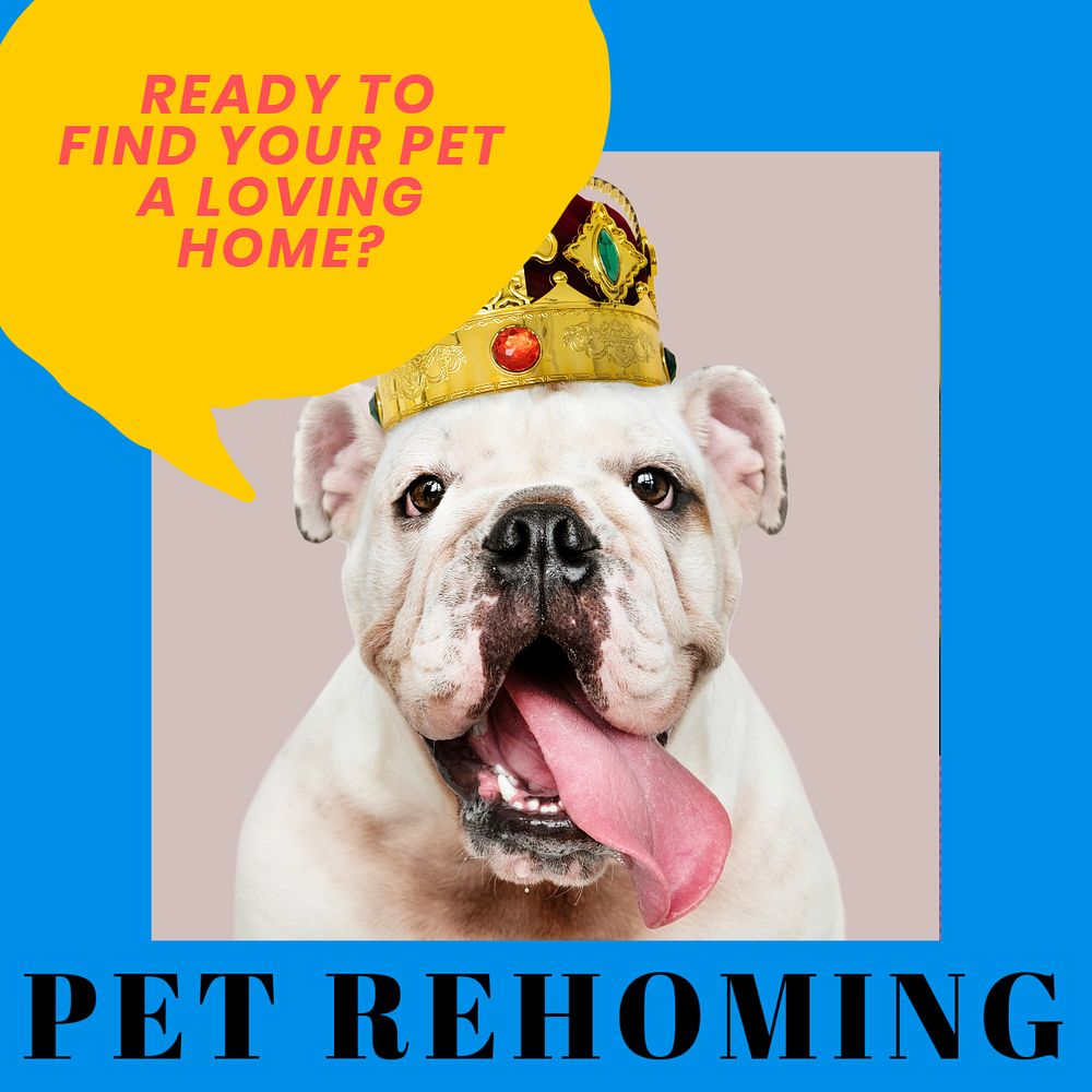 Pet adoption & rehoming Instagram post template, editable text