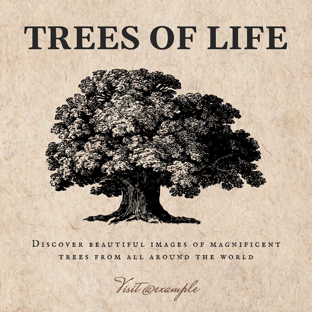 Trees of life Instagram post template, editable text