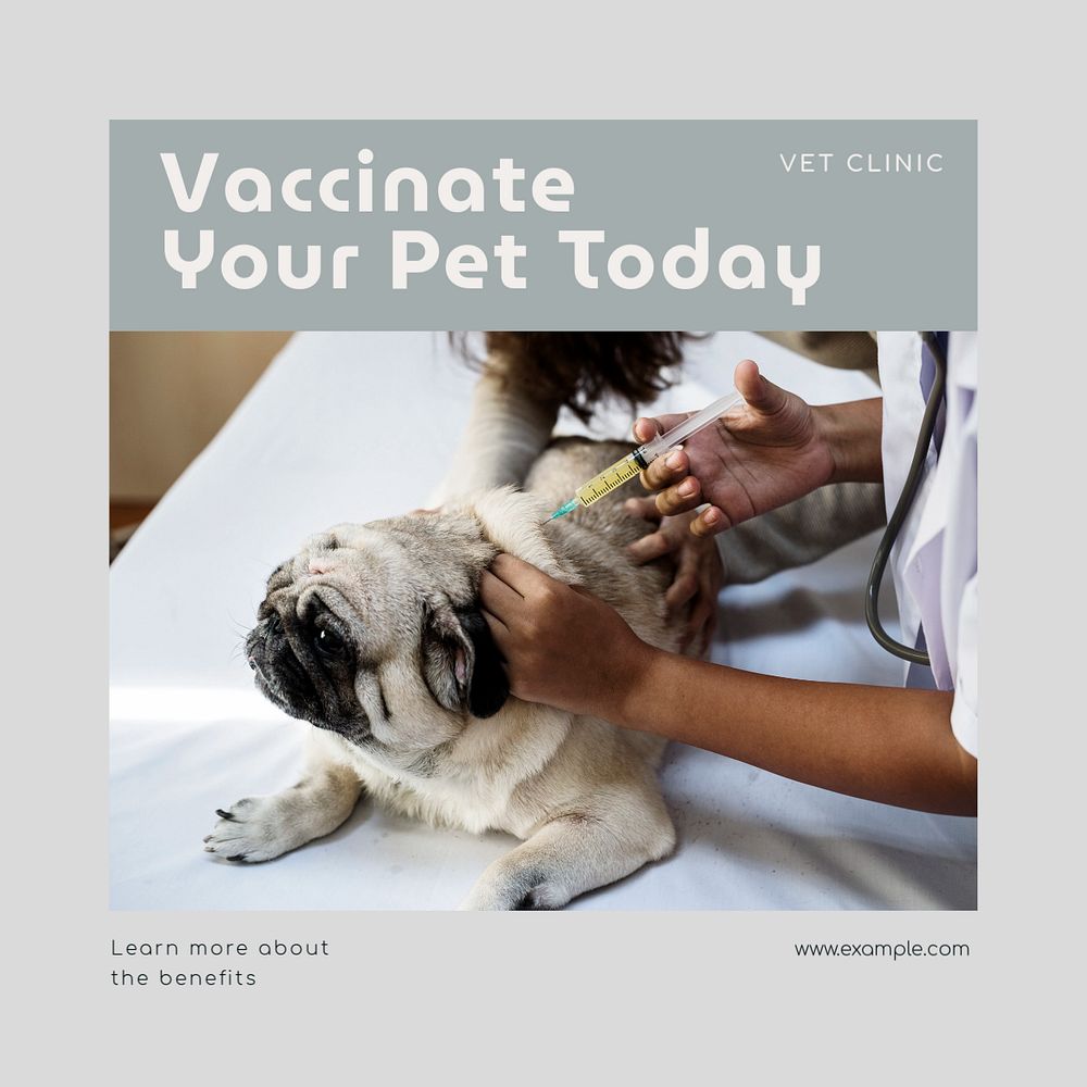 Pet vaccination Instagram post template, editable text