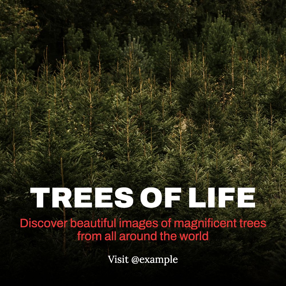 Trees of life Instagram post template, editable text