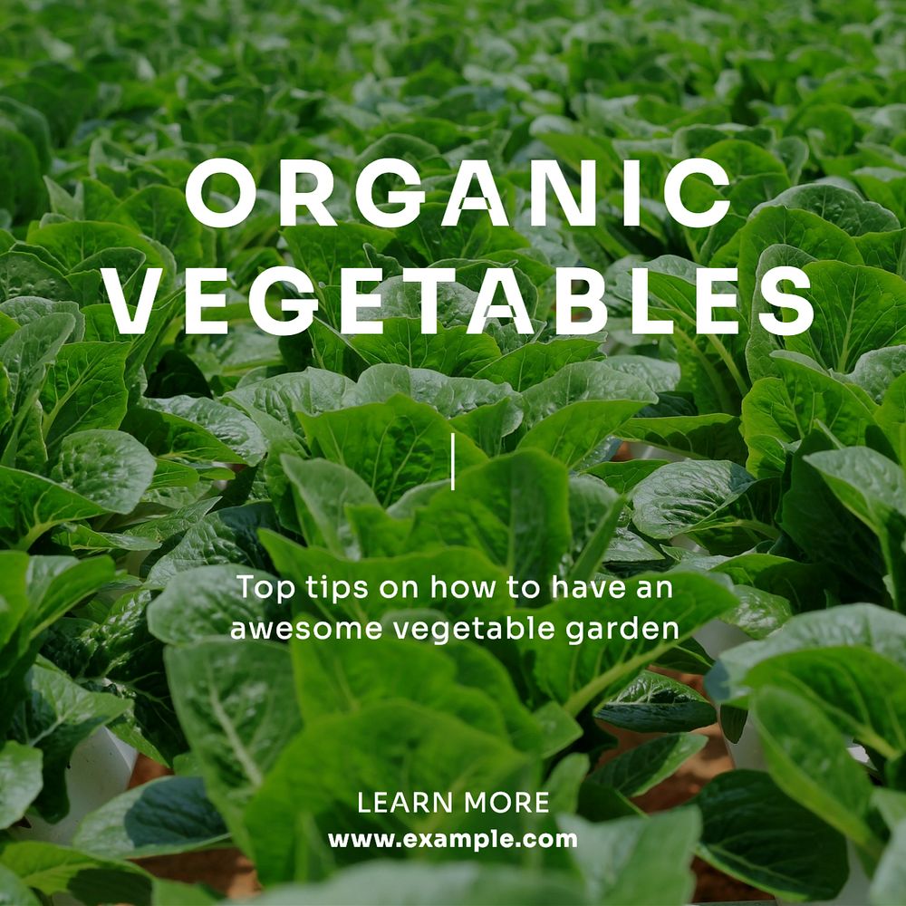 Organic vegetables Instagram post template, editable text