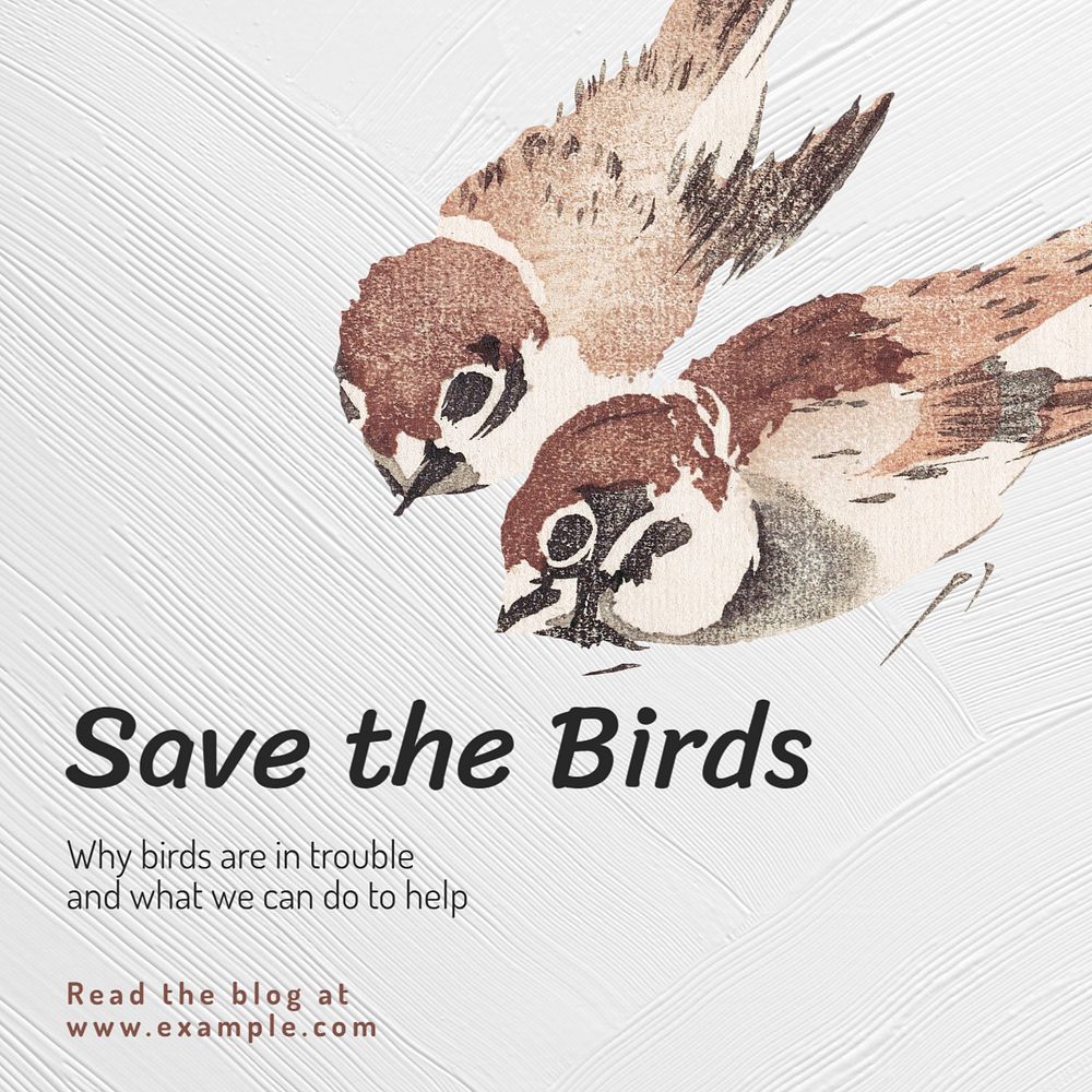 Save the birds Instagram post template, editable text