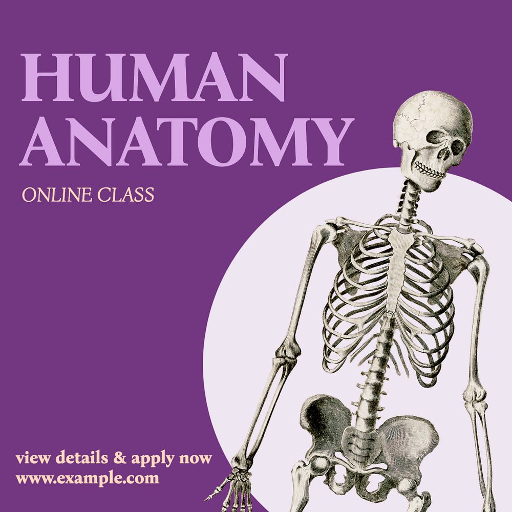 Human anatomy Instagram post template, editable text