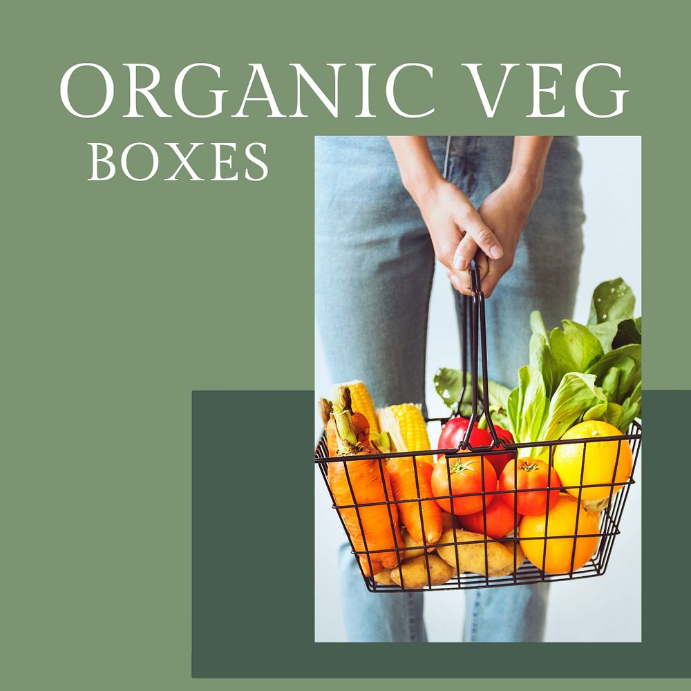 Organic vegetable delivery Instagram post template, editable text