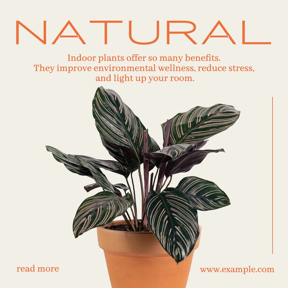 Indoor plant Instagram post template, editable text