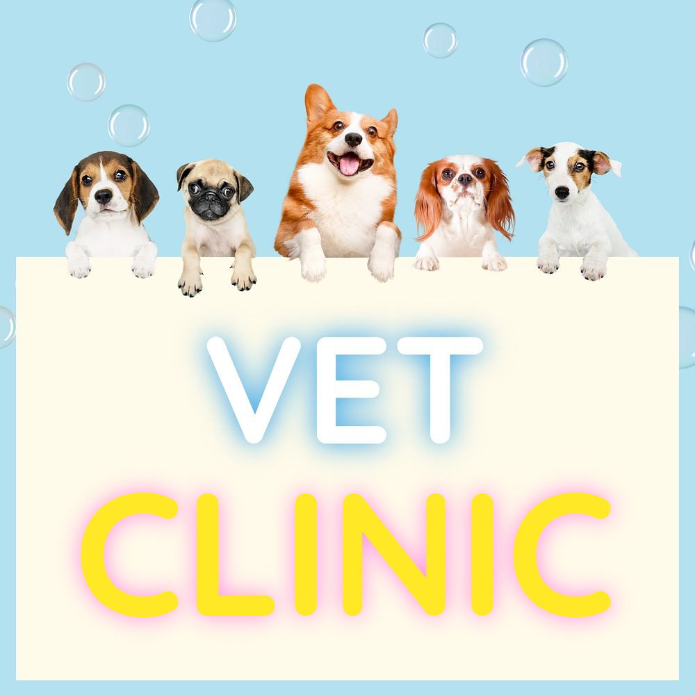 Vet clinic Instagram post template, editable text