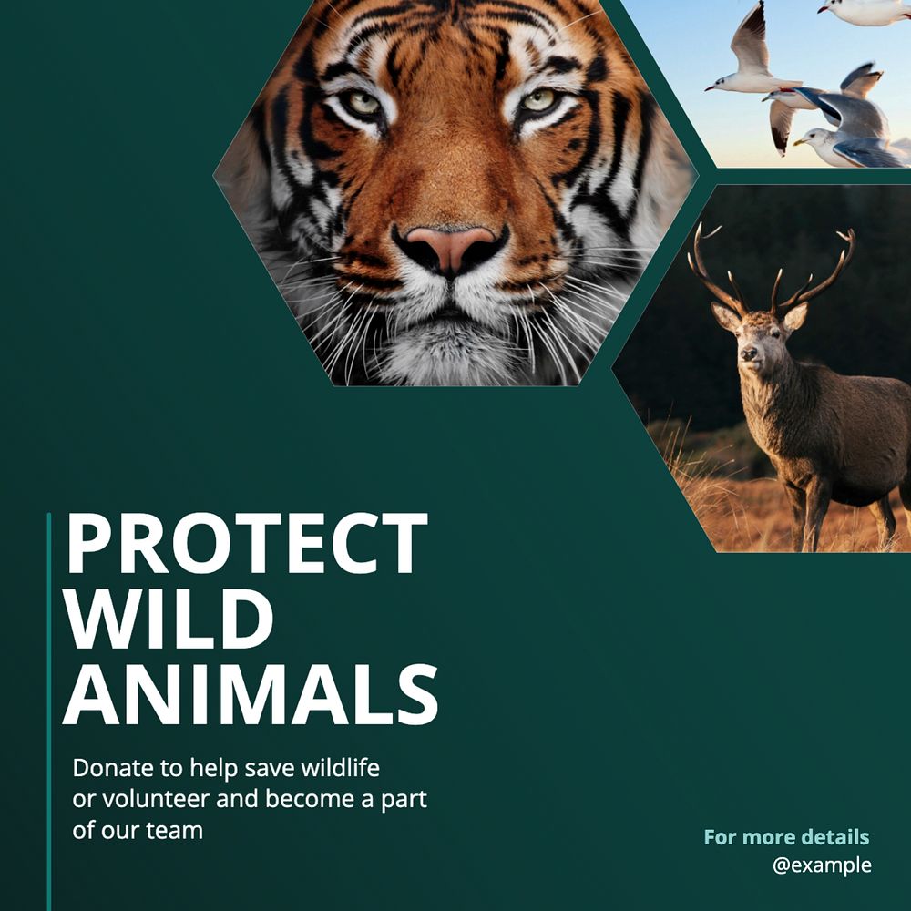 Protect wild animals Instagram post template, editable text