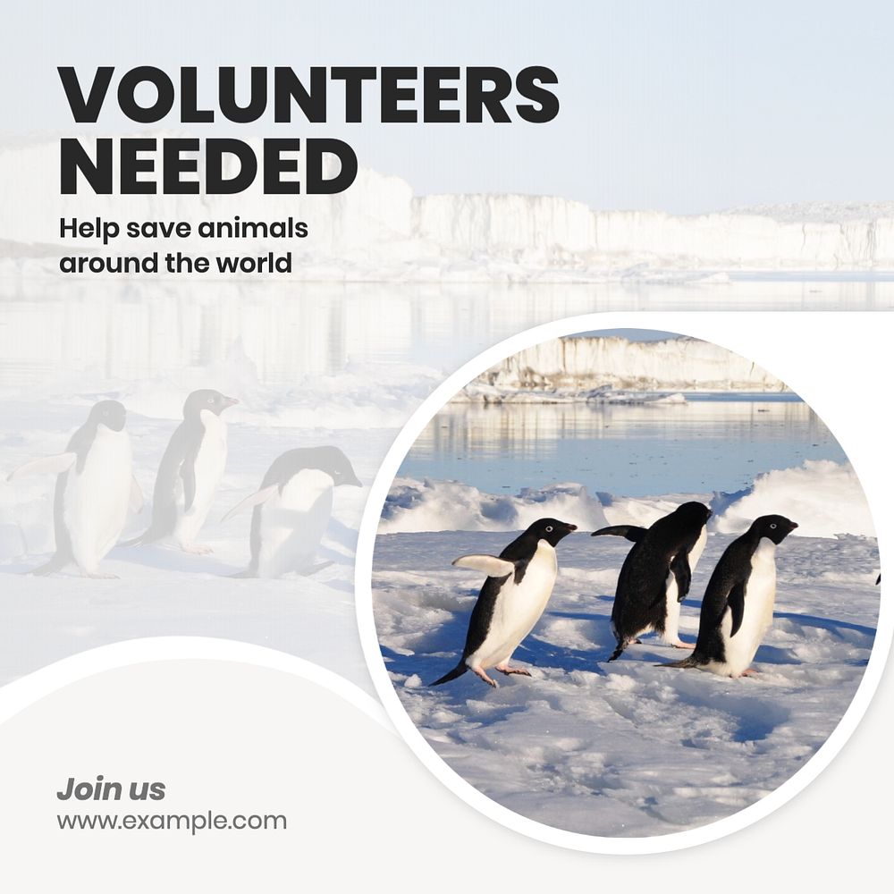 Volunteers needed Instagram post template, editable text