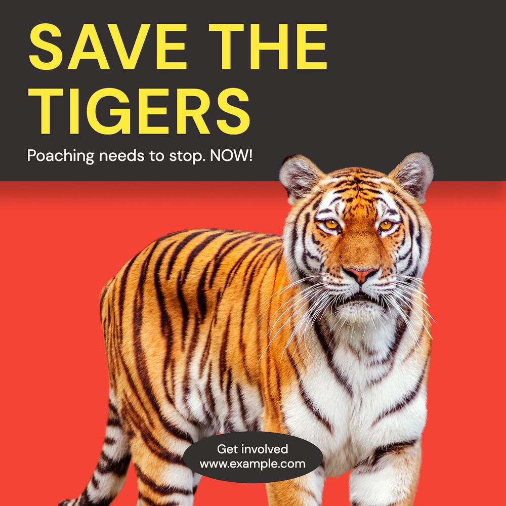 Save the tigers Instagram post template, editable text