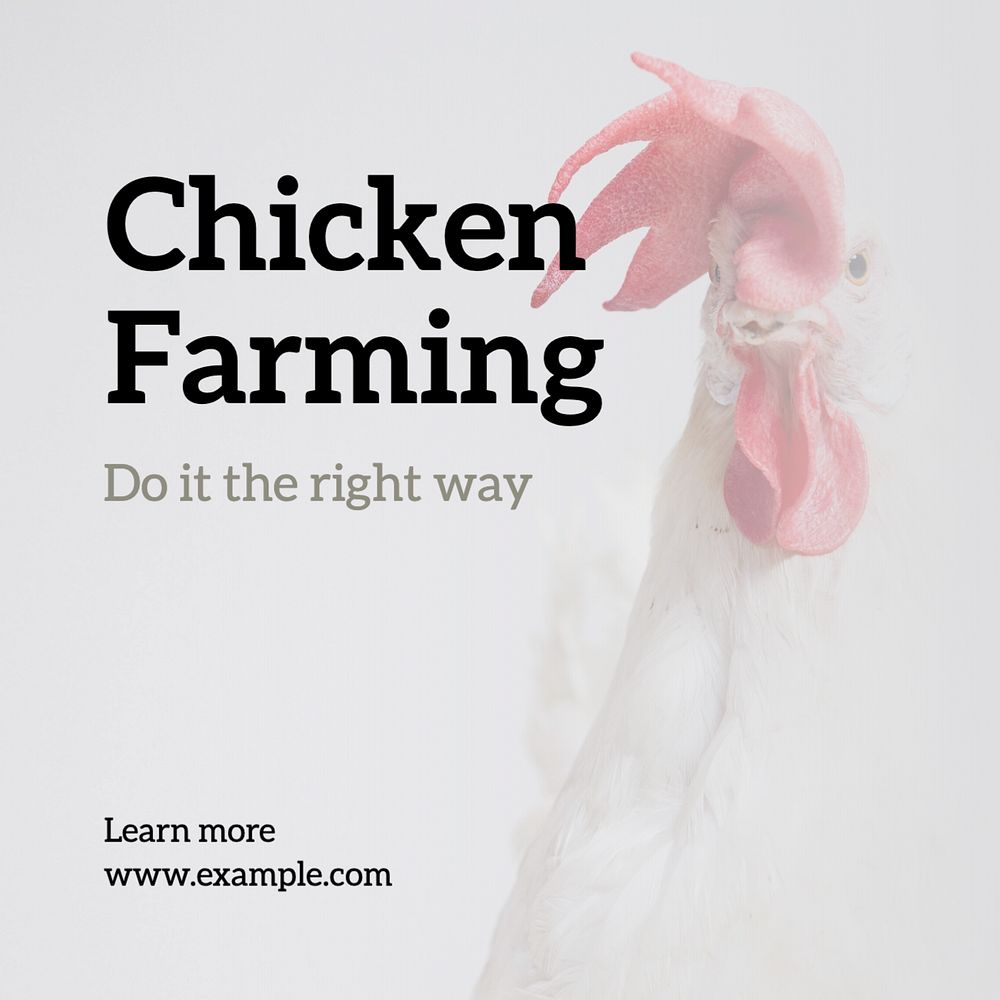 Chicken farming Instagram post template, editable text