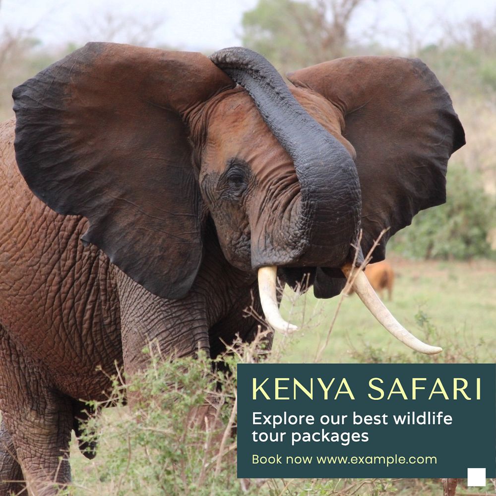 Kenya safari Instagram post template, editable text