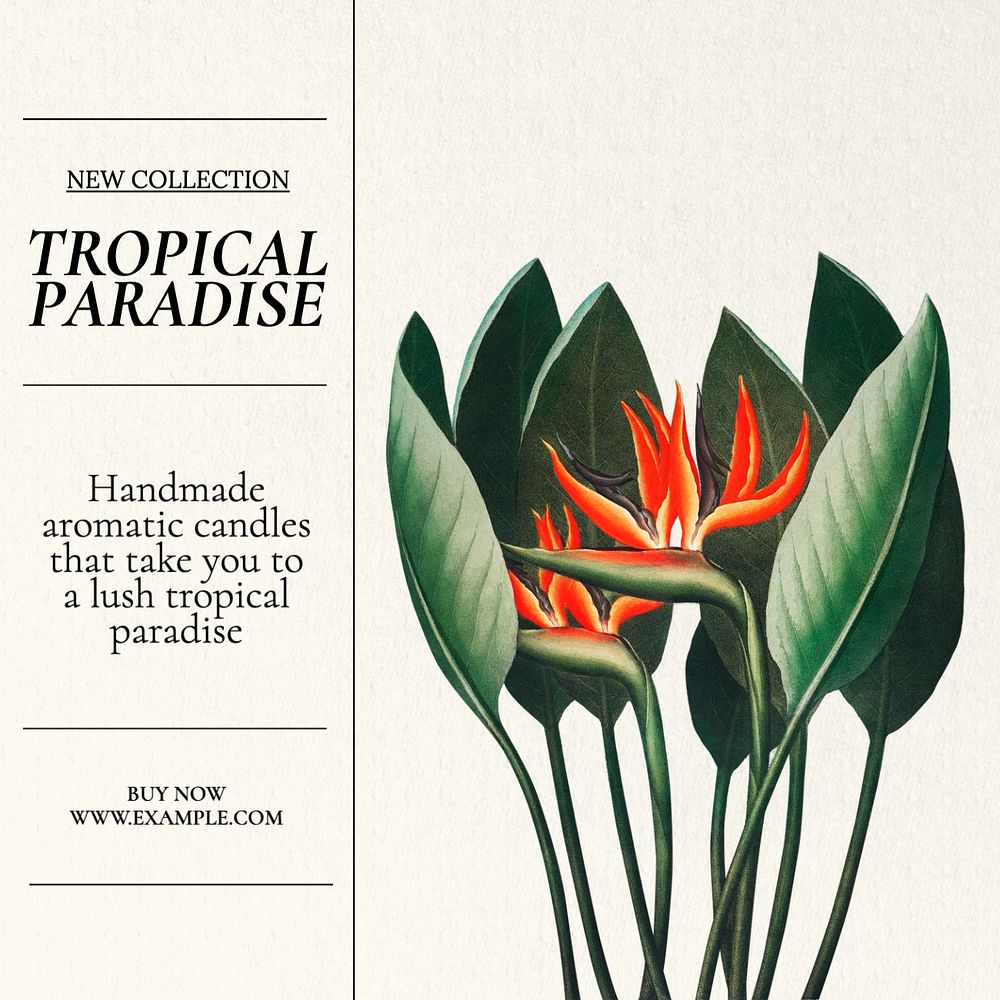 Tropical paradise Instagram post template, editable text