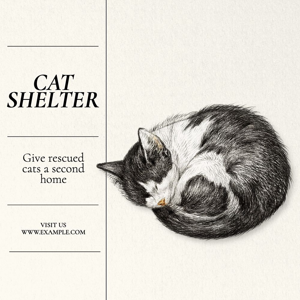 Cat shelter Instagram post template, editable text