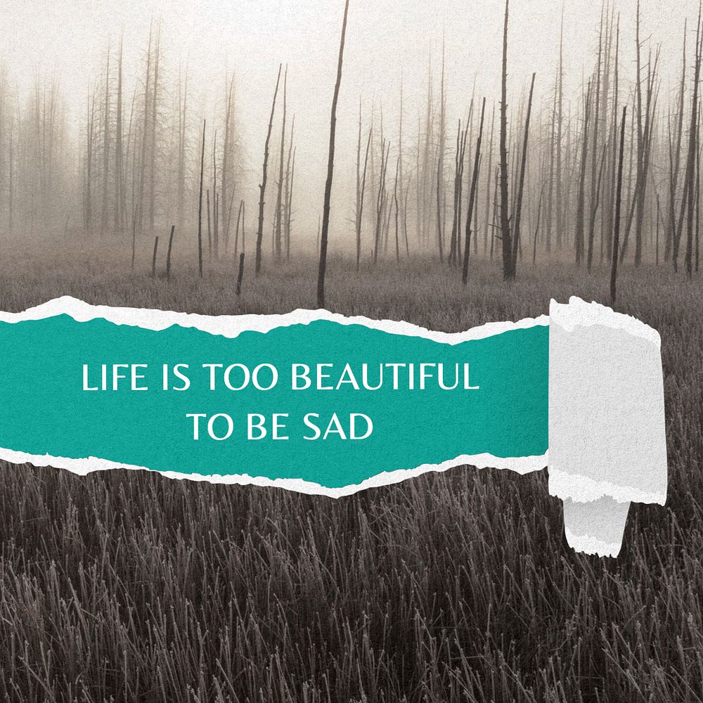 Life is too beautiful Instagram post template, editable text