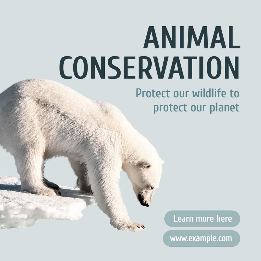 Animal conservation Instagram post template, editable text