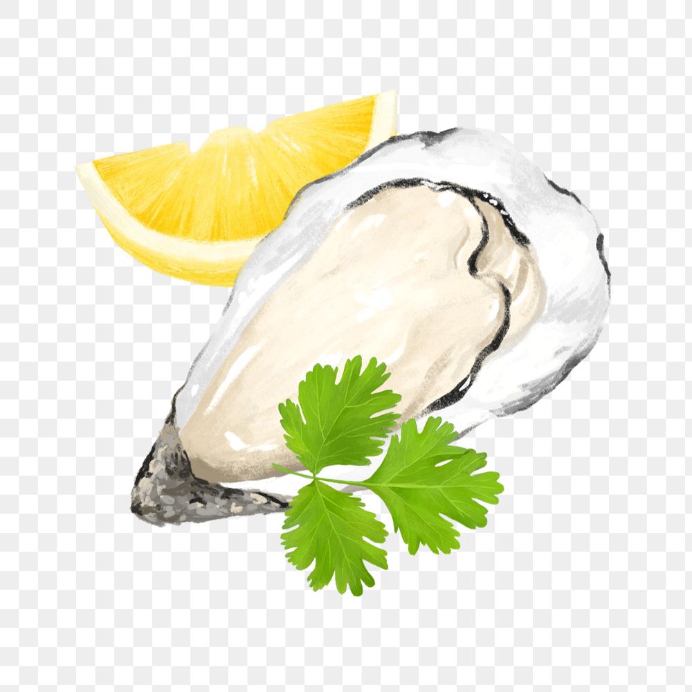 Fresh oyster, seafood png illustration, editable design