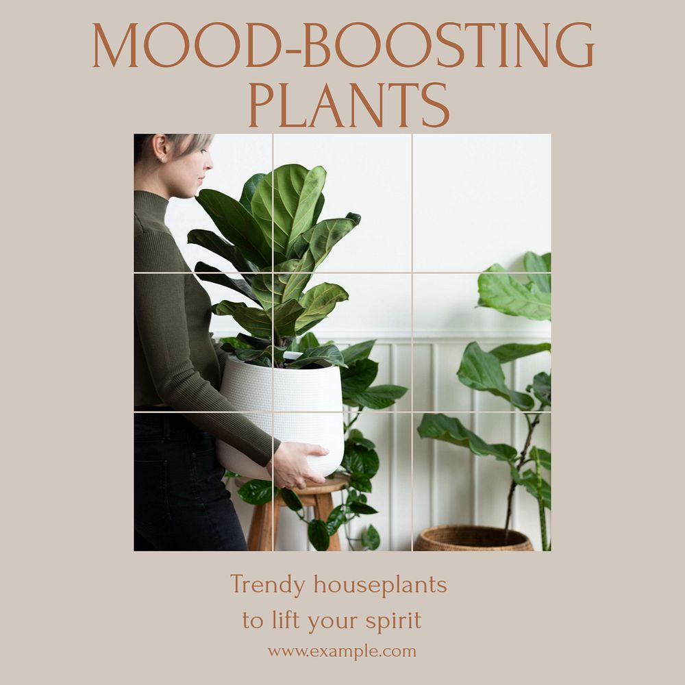 Mood-boosting plants  Instagram post template, editable text