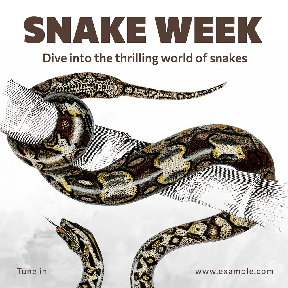 Snake week Instagram post template, editable text