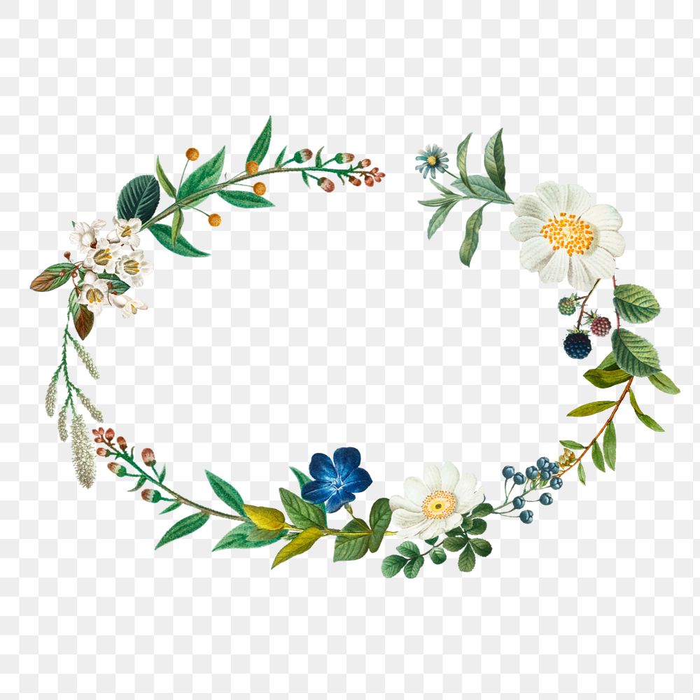 Botanical wreath png element, frame, editable design