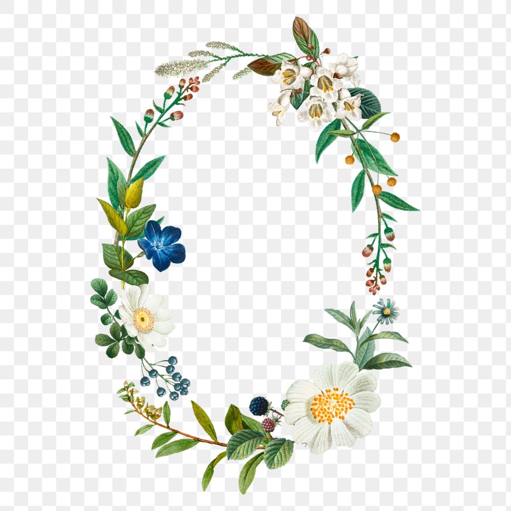 Botanical wreath png element, frame, editable design