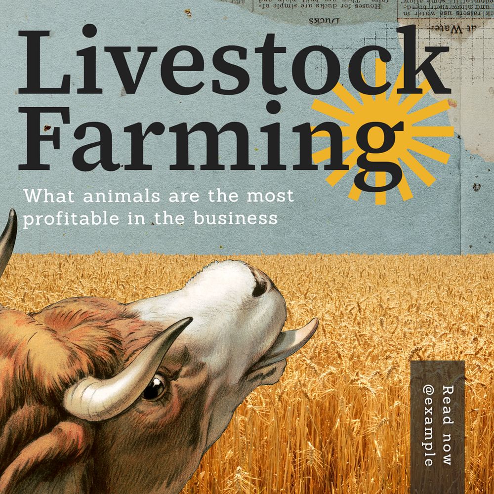 Livestock farming Instagram post template, editable text