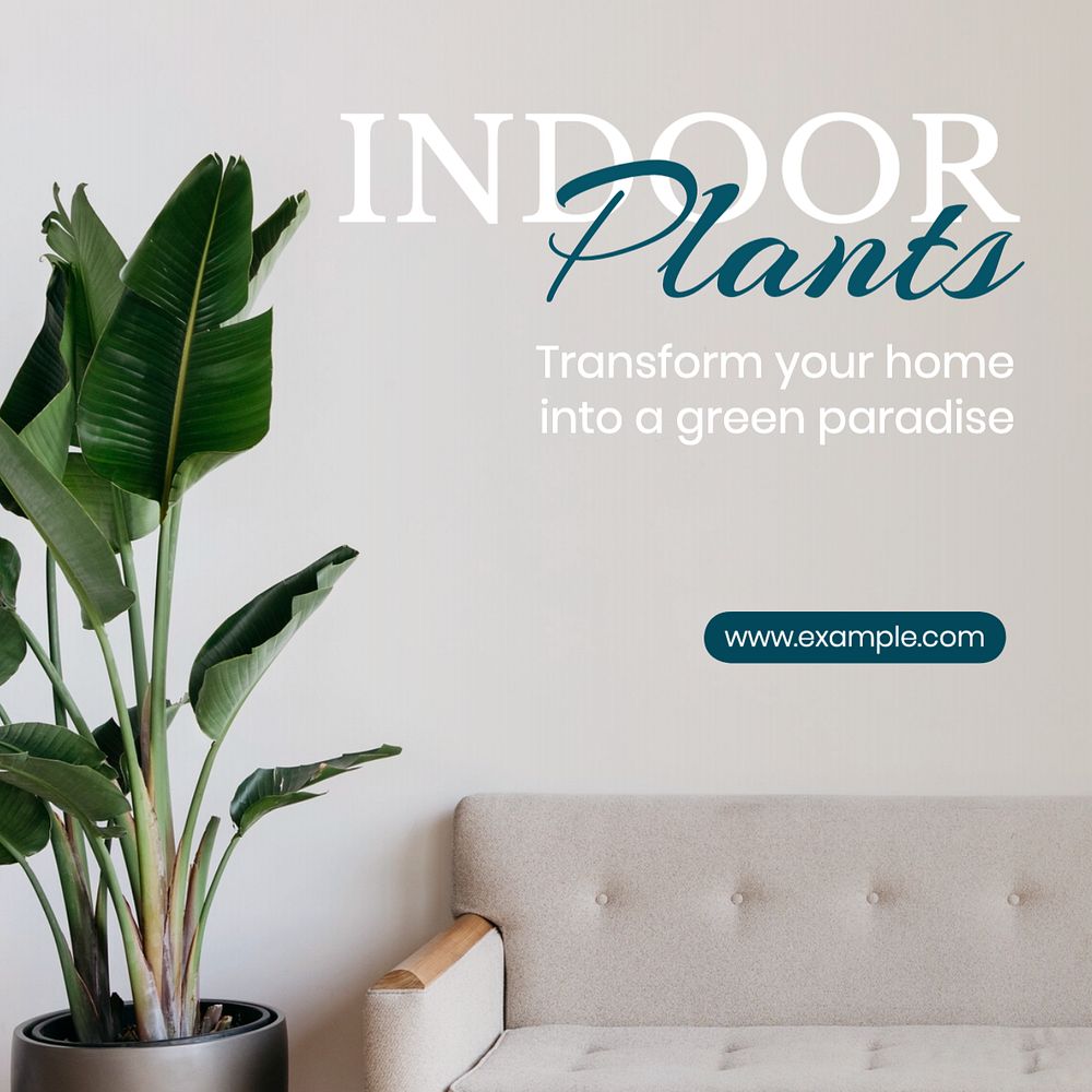 Indoor plants Instagram post template, editable text