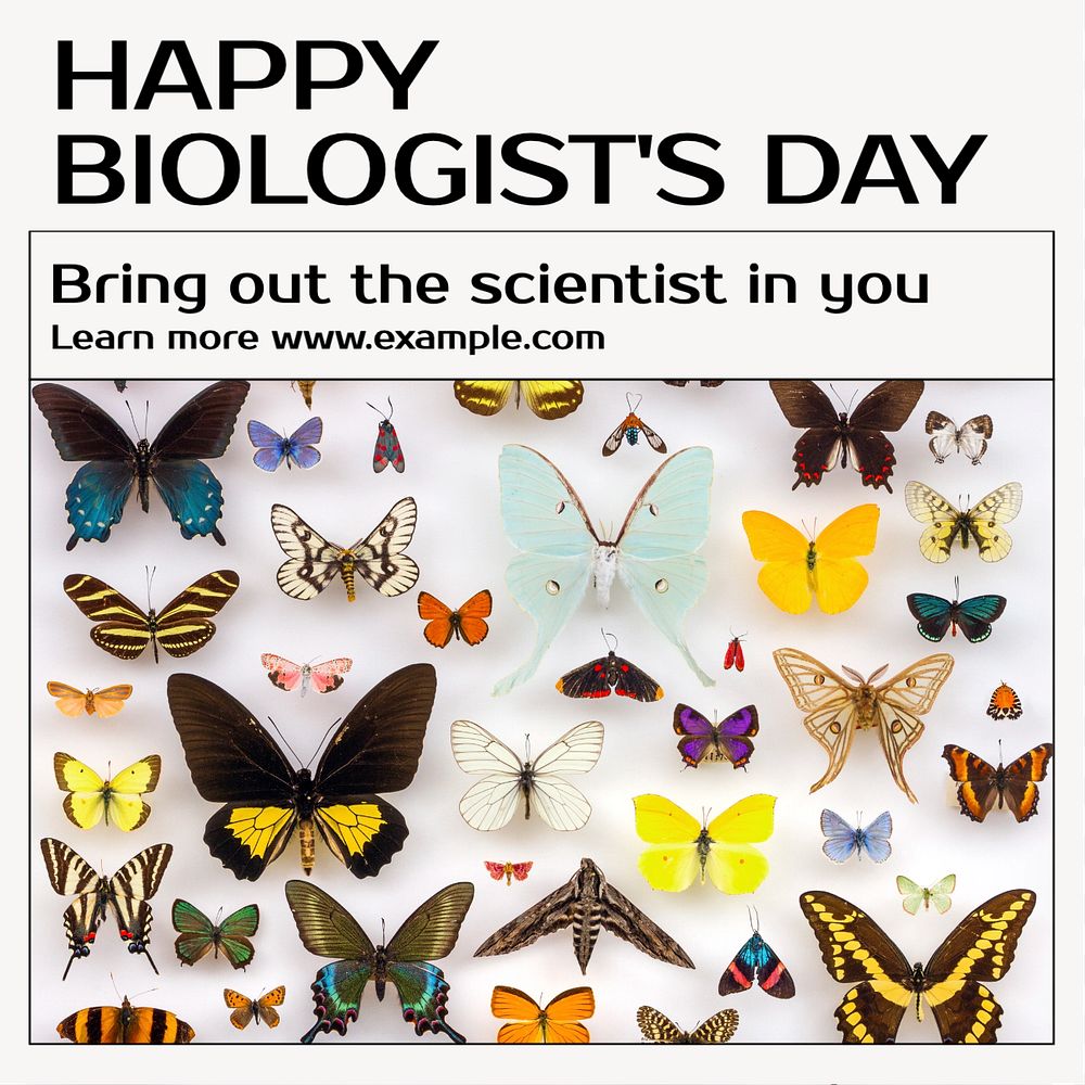 Happy biologist's day Instagram post template, editable text