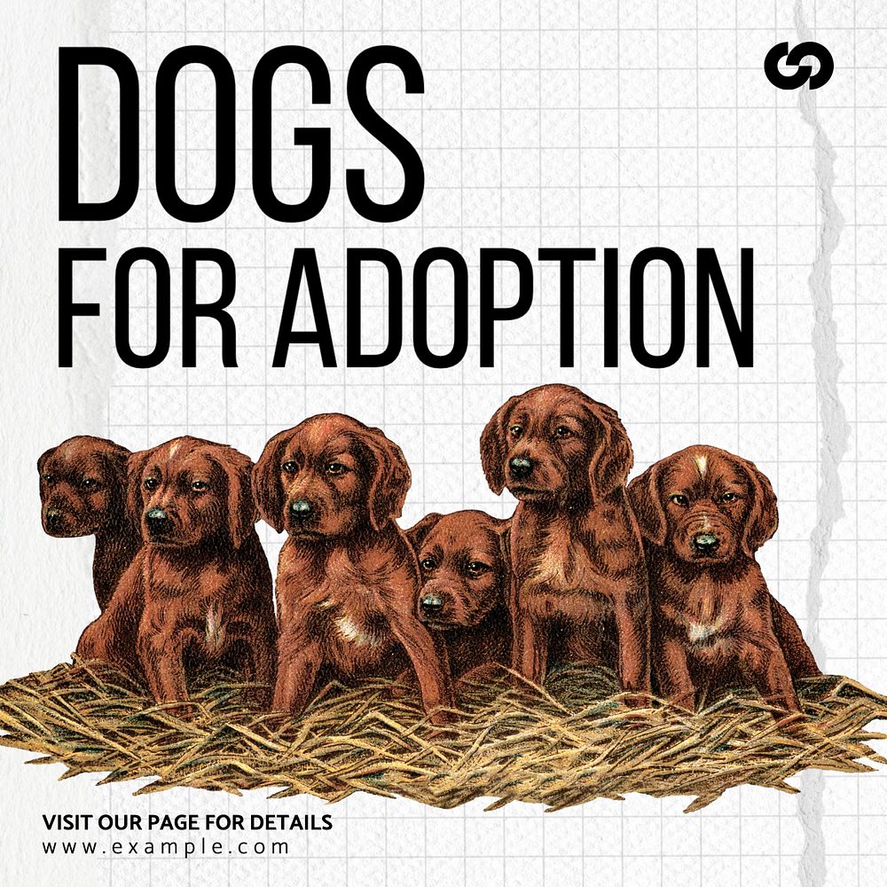 Dog adoption Instagram post template, editable text