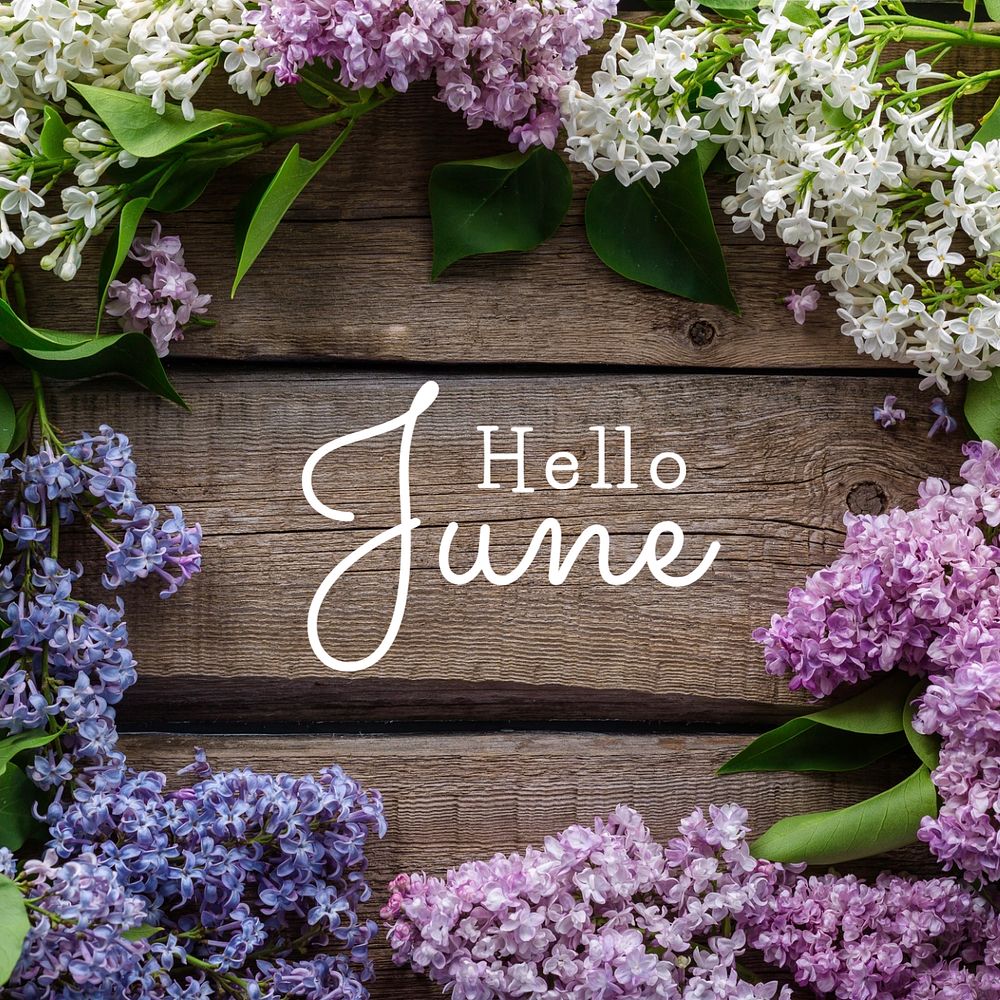 Hello June Instagram post template, editable text