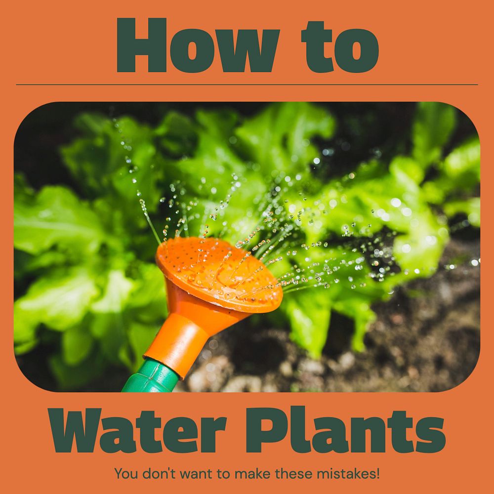 Water plants Instagram post template, editable text