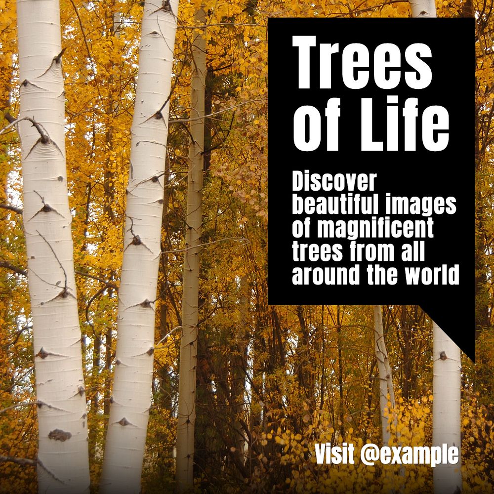 Trees of life Instagram post template, editable text