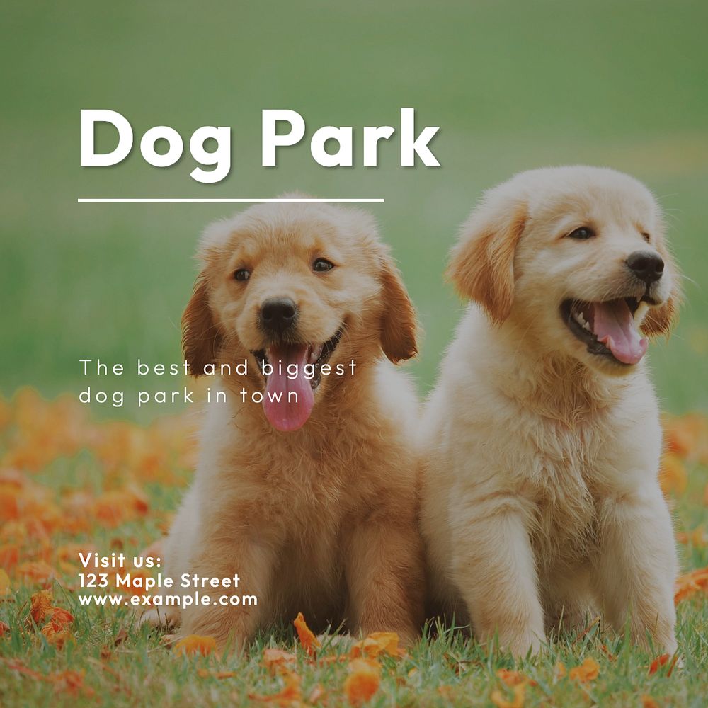 Dog park Instagram post template, editable text