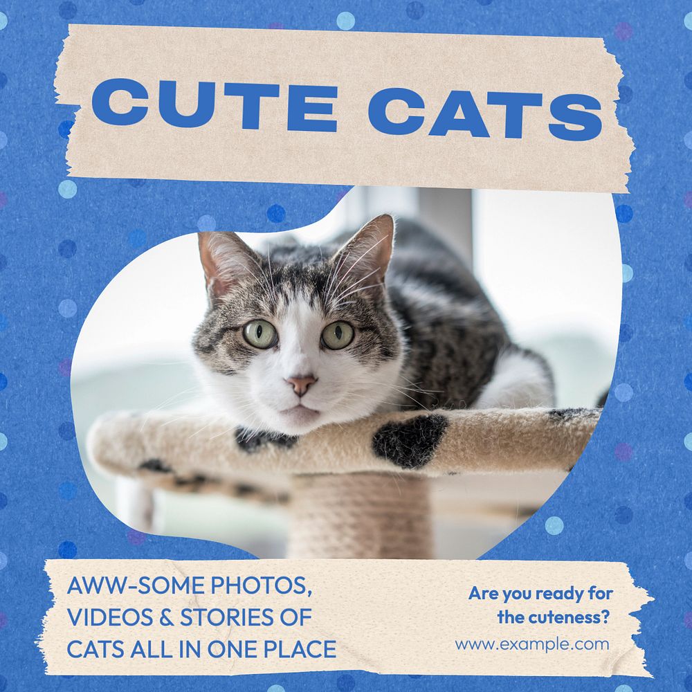 Cute cats Instagram post template, editable text