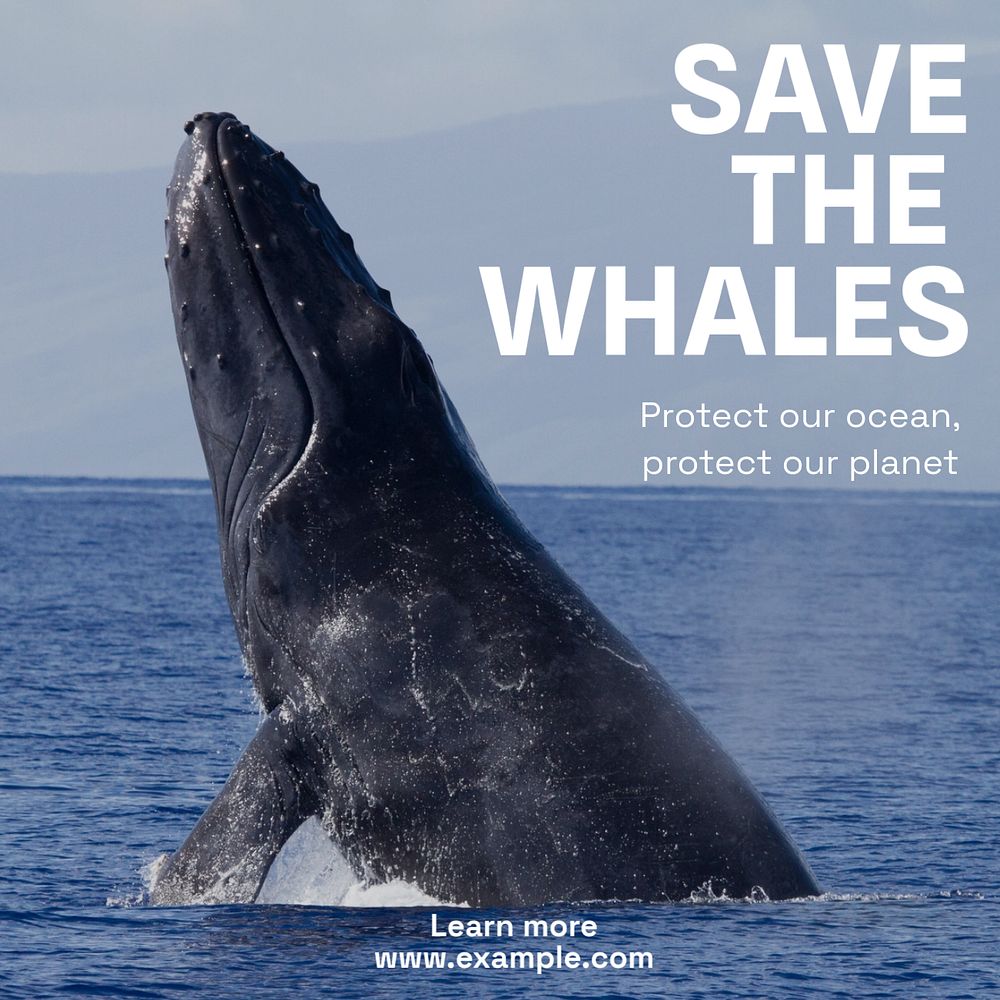 Save the whales Instagram post template, editable text