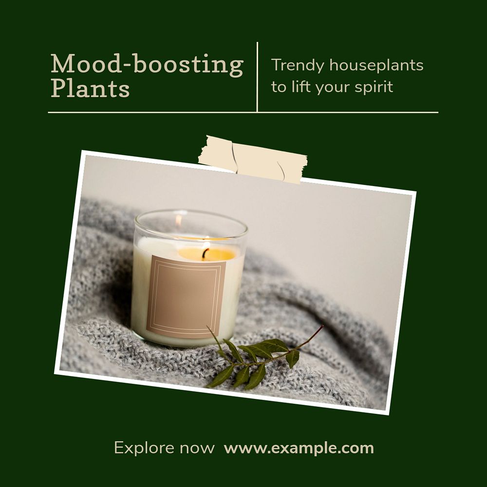 Mood-boosting plants Instagram post template, editable text