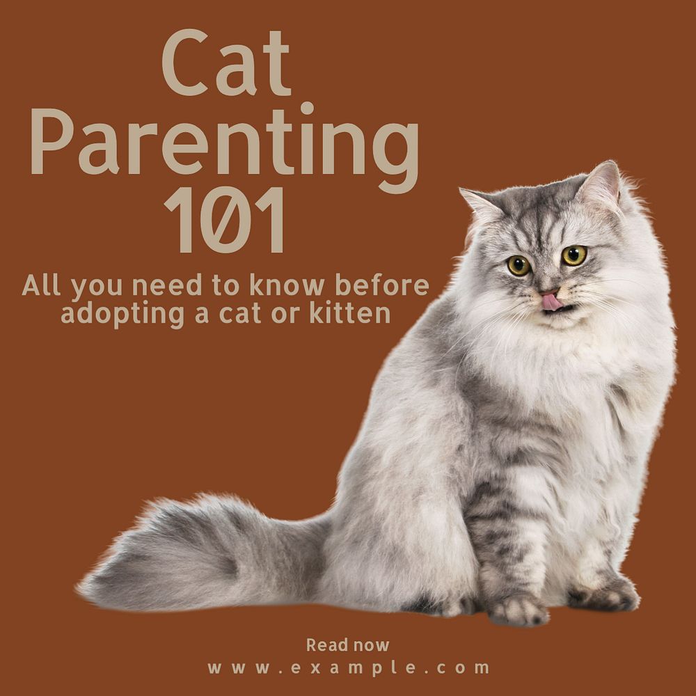 Cat adoption Instagram post template, editable text