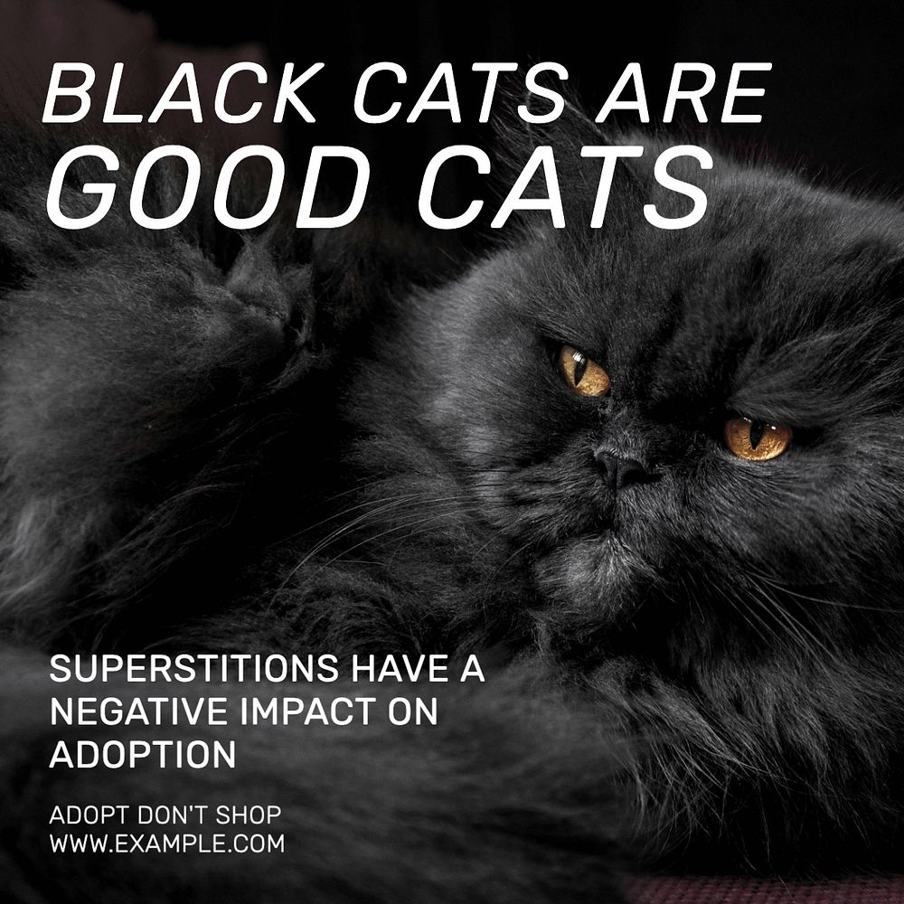 Black cats Instagram post template, editable text