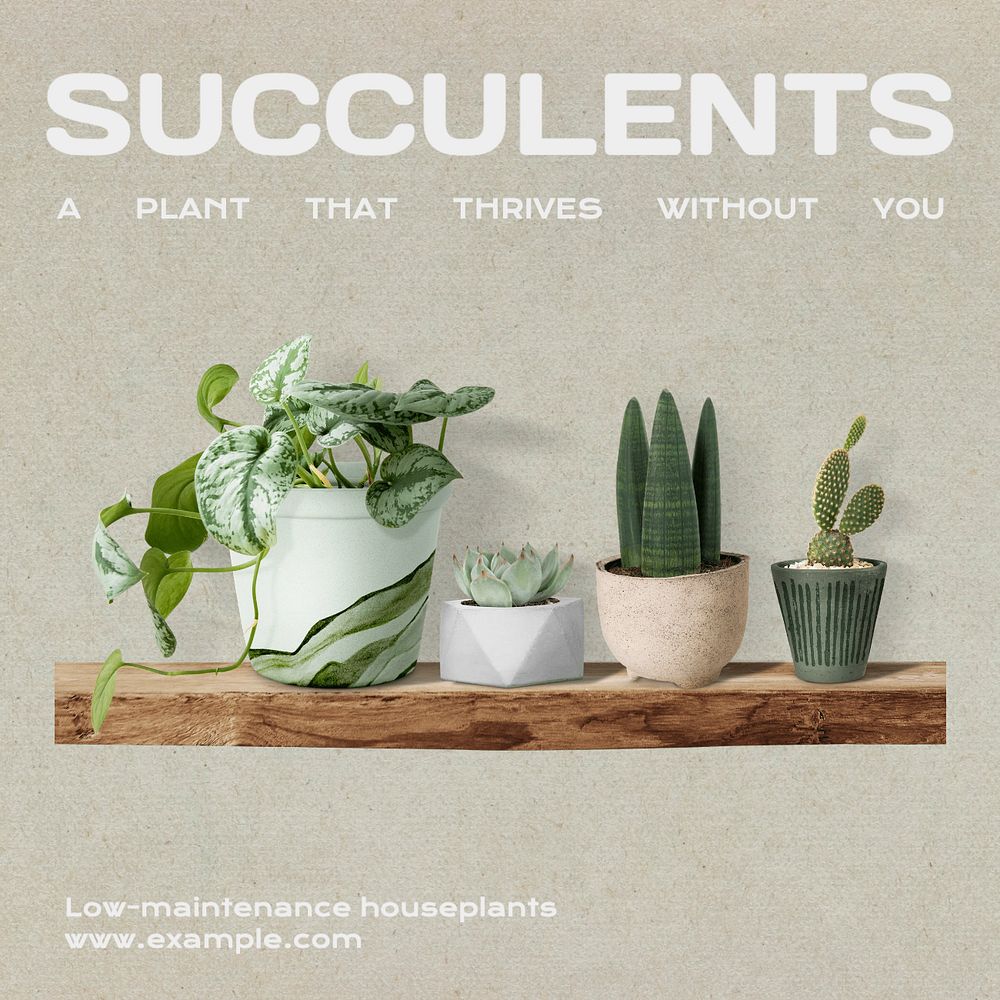 Succulents Instagram post template, editable text