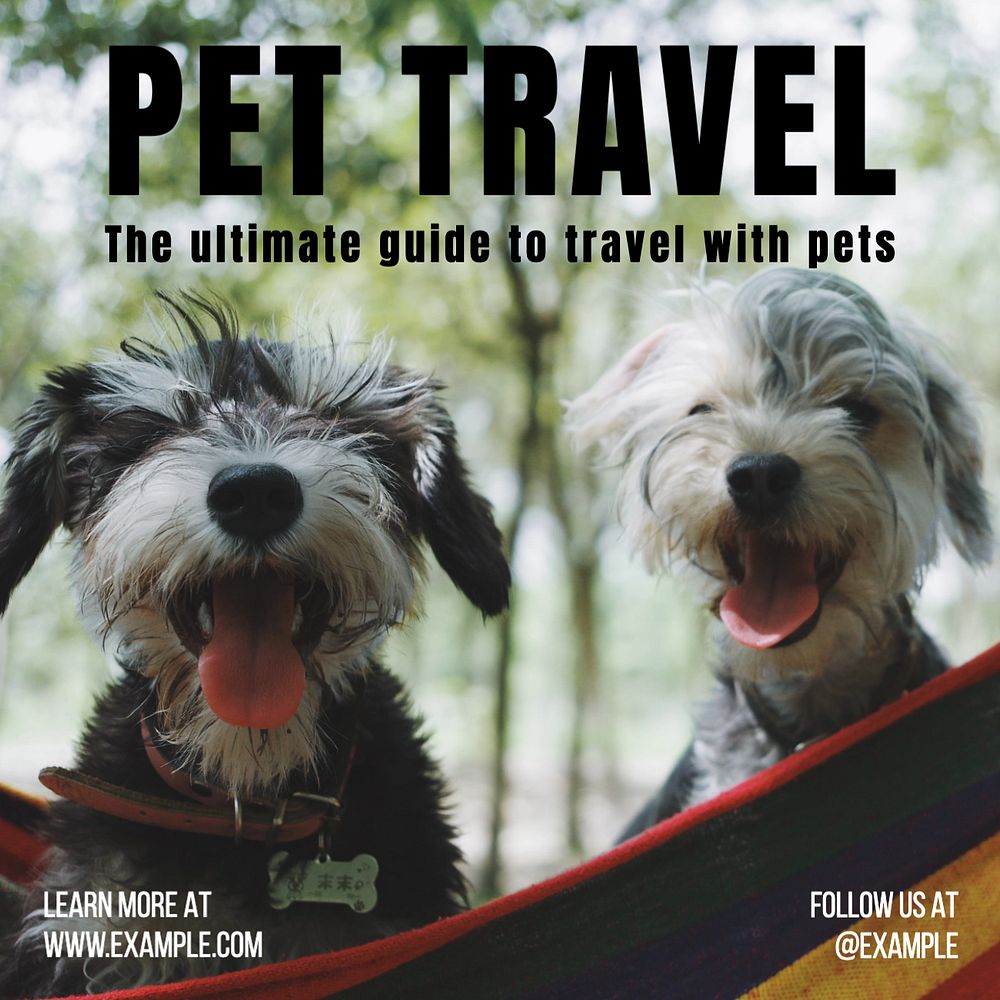 Pet travel Instagram post template, editable text