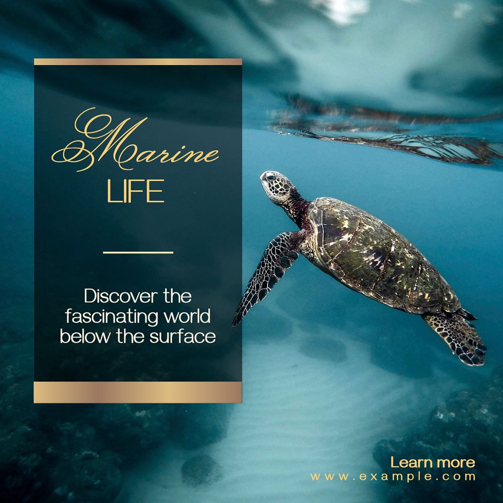 Marine life Instagram post template, editable text