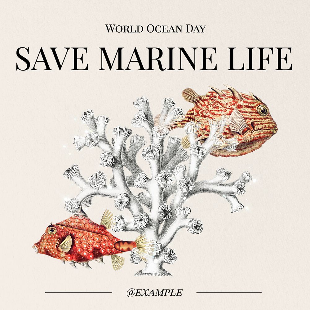 Save marine life Instagram post template, editable text