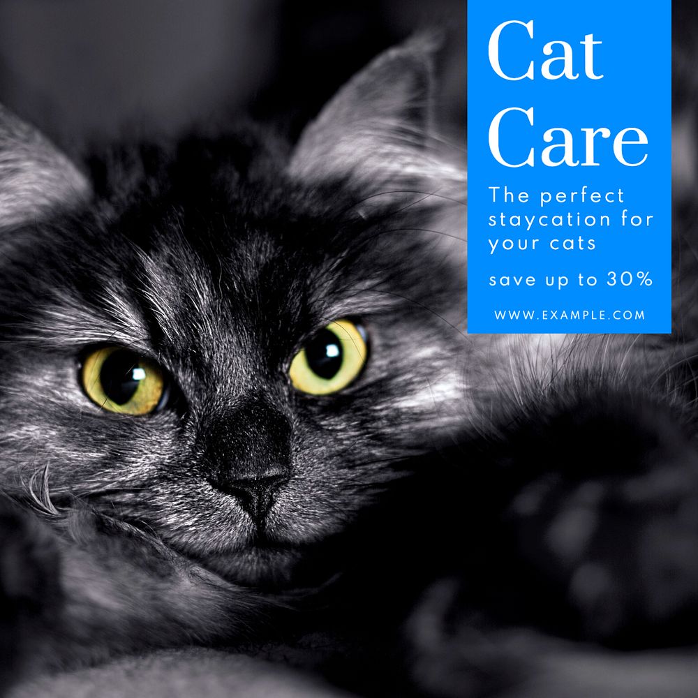 Cat care Instagram post template, editable text