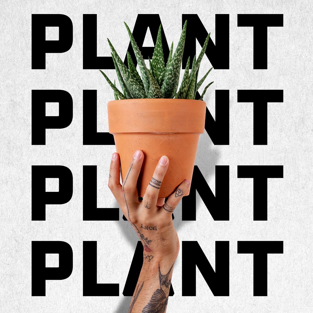 Plant Instagram post template, editable text