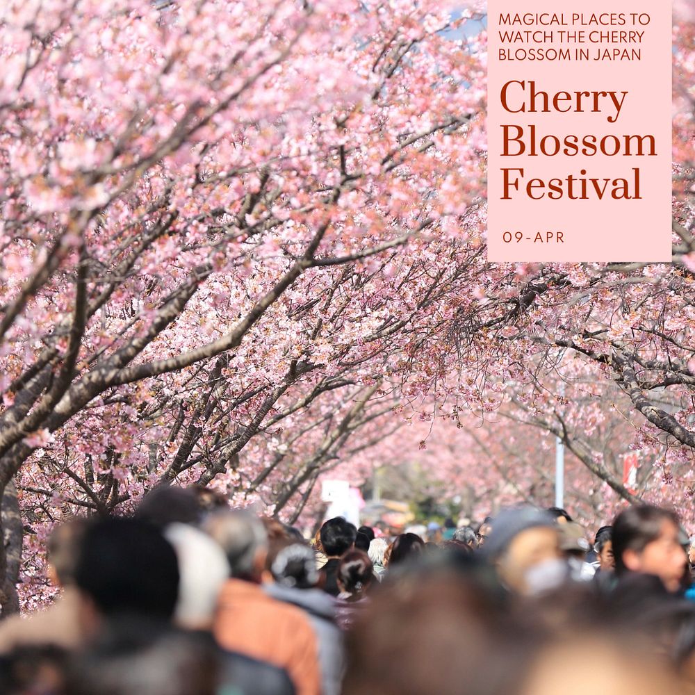 Cherry blossom festival Instagram post template, editable text