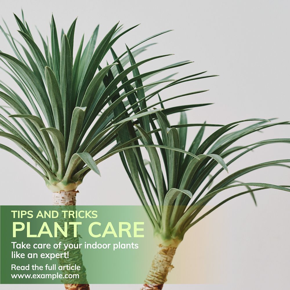 Plant care tips Instagram post template, editable text