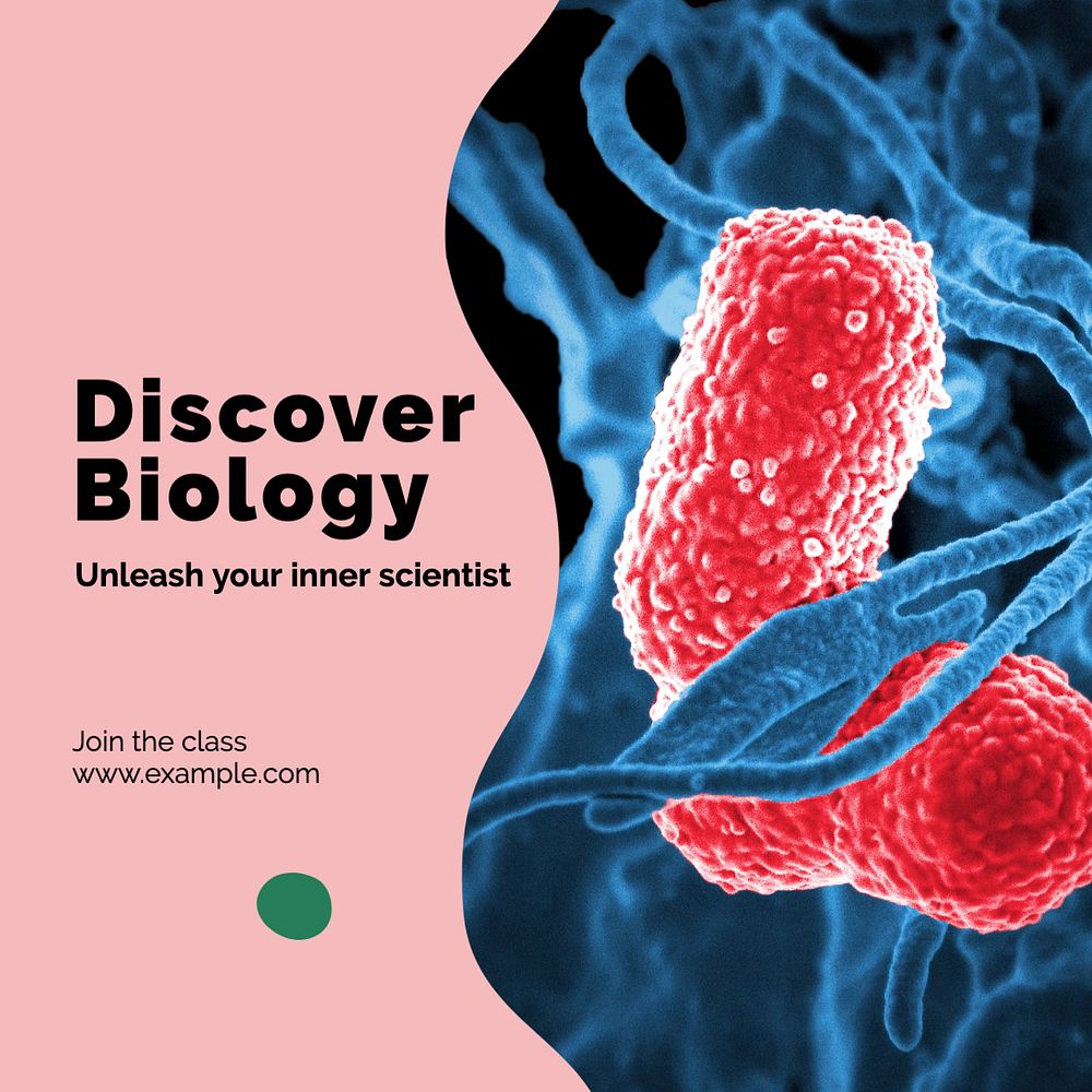 Biology class Instagram post template, editable text