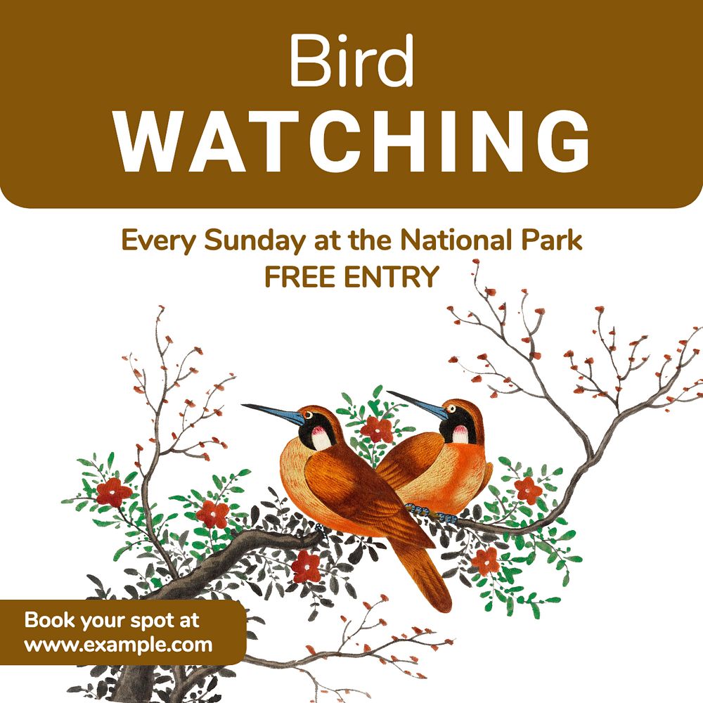 Bird watching Instagram post template, editable text