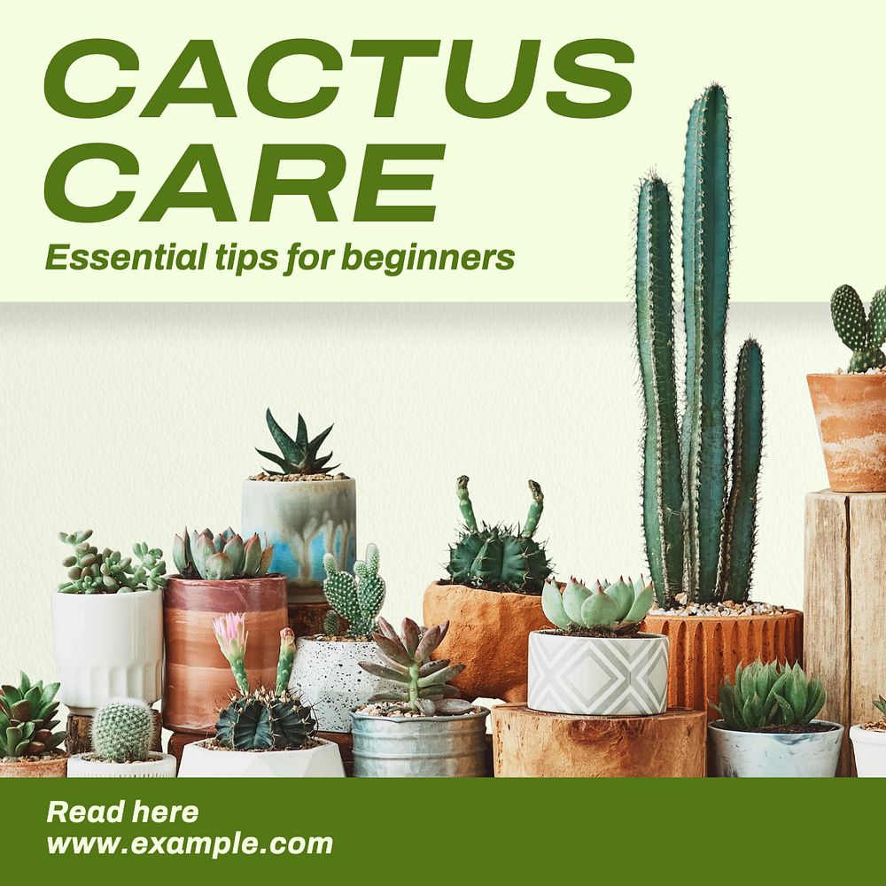 Cactus care Instagram post template, editable text