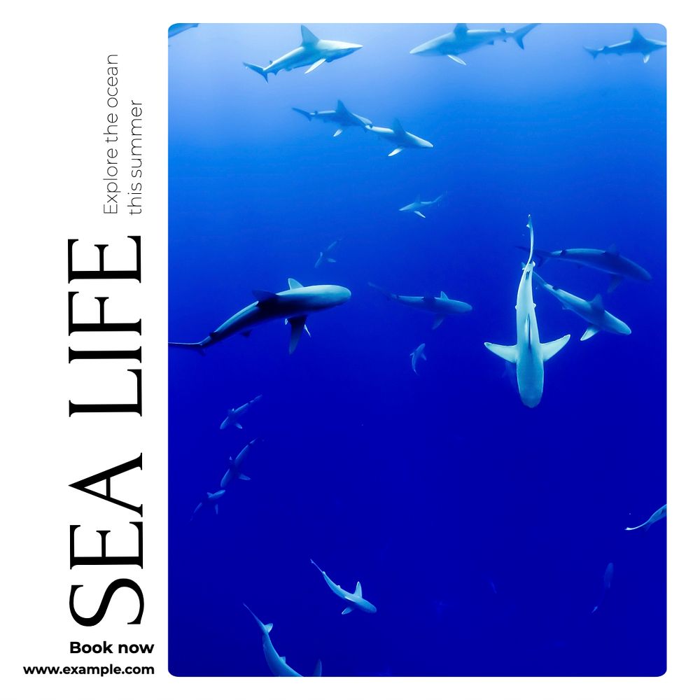 Sea life  Instagram post template, editable text